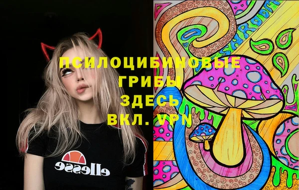 бошки Мегион
