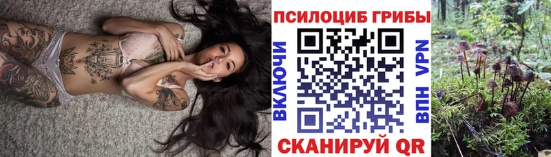 Галлюциногенные грибы Psilocybine cubensis  Искитим 
