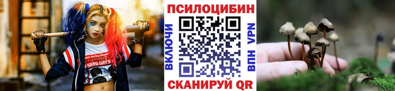 Псилоцибиновые грибы Psilocybine cubensis Искитим