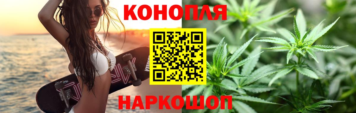 Конопля гибрид Искитим